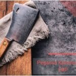 Pegasus ERP Κρεοπωλείο Start Up